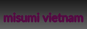 misumi vietnam